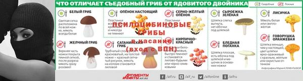 индика Алзамай