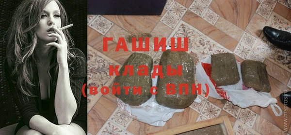 индика Алзамай