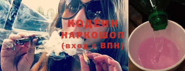 индика Алзамай