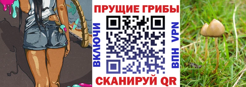 blacksprut как зайти Слободской Псилоцибиновые грибы Magic Shrooms купить наркотики сайты
